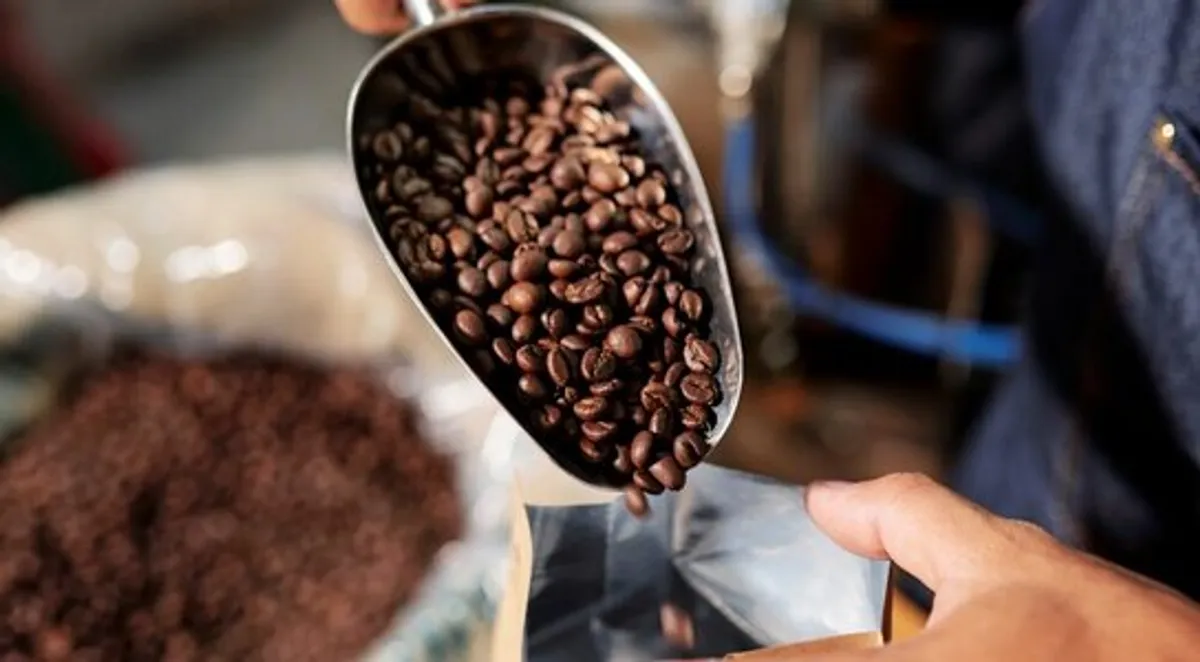 Café Arabica Wayunaï - Grains de café cultivés en montagne