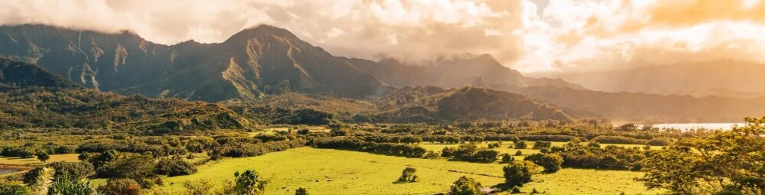 Contactez-nous - Wayunaï