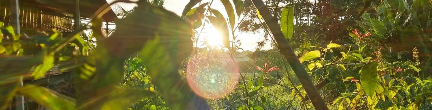 Notre histoire - Wayunaï