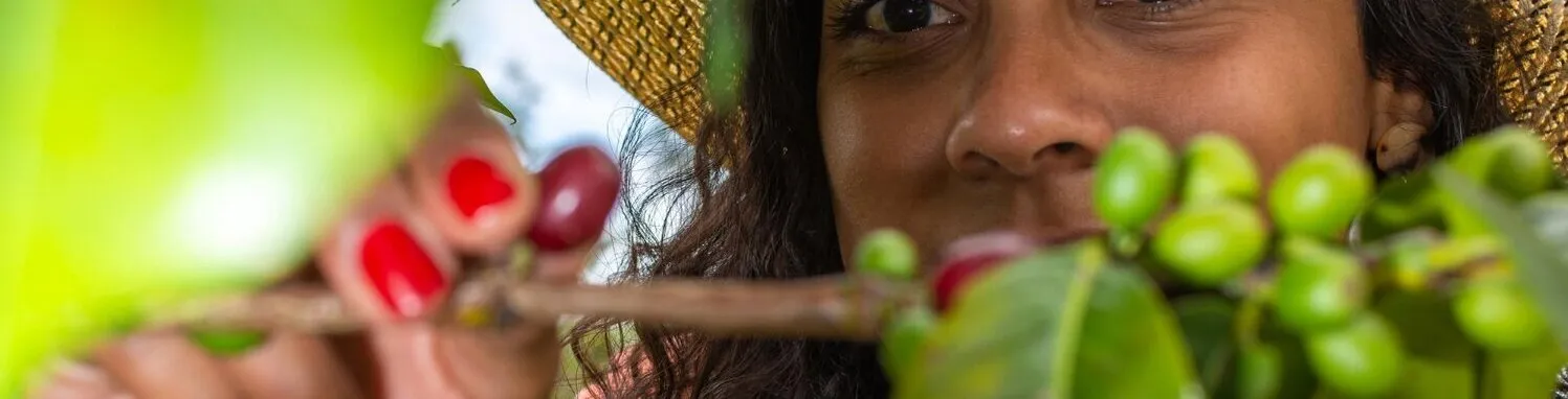 Nos Producteurs - Wayunaï