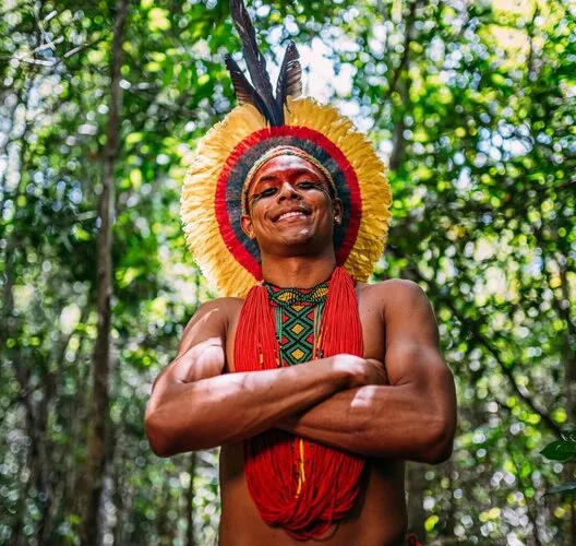 Racines d'arbres en agroforesterie - Wayunaï